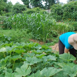 Garden Session this Saturday!