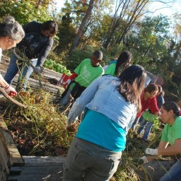 Become a Cottage City Garden Volunteer