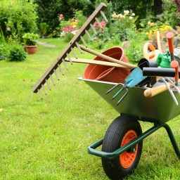 New Garden Shed is Taking Shape