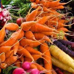 Port Towns Farmer’s Market