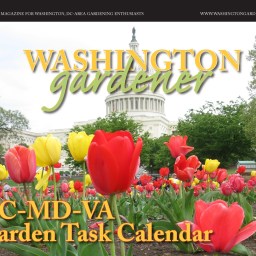 June 2015 issue of Washington Gardener Magazine