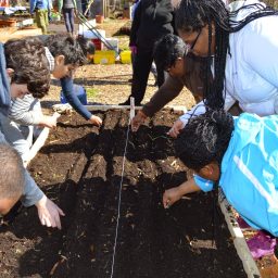 Volunteer at Cottage City Garden on August 8.