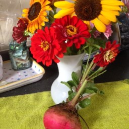Flowers and Beets in the Garden!