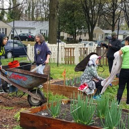 Join the Cottage City Community Garden