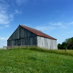 Reconnecting Our Roots –