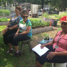 The Joy of Gardening – Soil Therapy