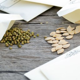 Seed Saving Workshop with Chef Mark Haskell 