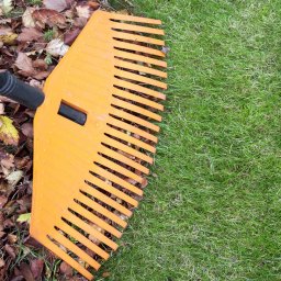 Cottage City Garden Fall Clean-Up