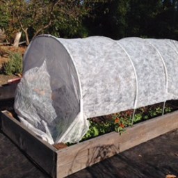 Winter Gardening 2016