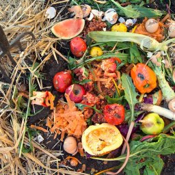 Composting! – September Workshop