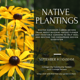 Community Garden Updates – September 2018