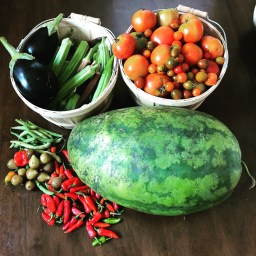 Produce Share at the Cottage City Town Hall TODAY!