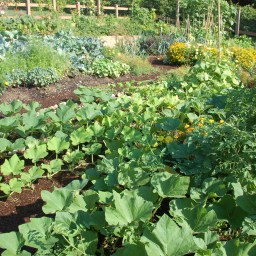 Annual Spring Garden Opener