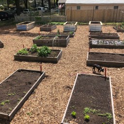 Adapting Your Garden to Climate Change