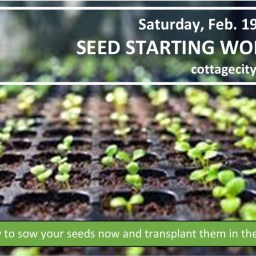 Seed Starting Workshop, Sat., Feb 19, 10am